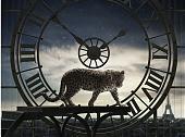 從過去到未來  CARTIER「雕塑時光」