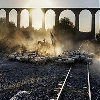 江詩丹頓Overseas之旅 墨西哥騰布里克神父水道橋
