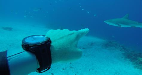EDOX 超鯊限量潛水錶  Sharkman I