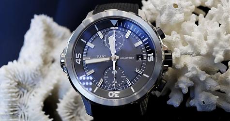 護鯊特別版!IWC海洋計時潛水錶
