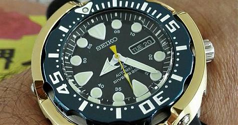 [今日爱表咖]早安！大扇贝