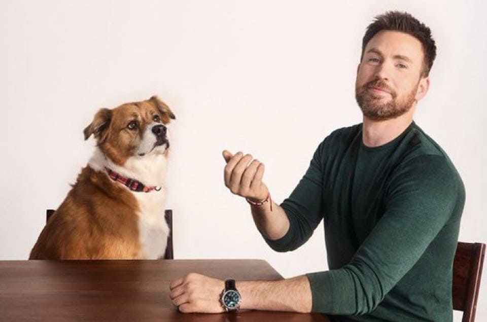 美国队长克里斯伊凡和爱犬拍广告 手上出现一支经典绿面表