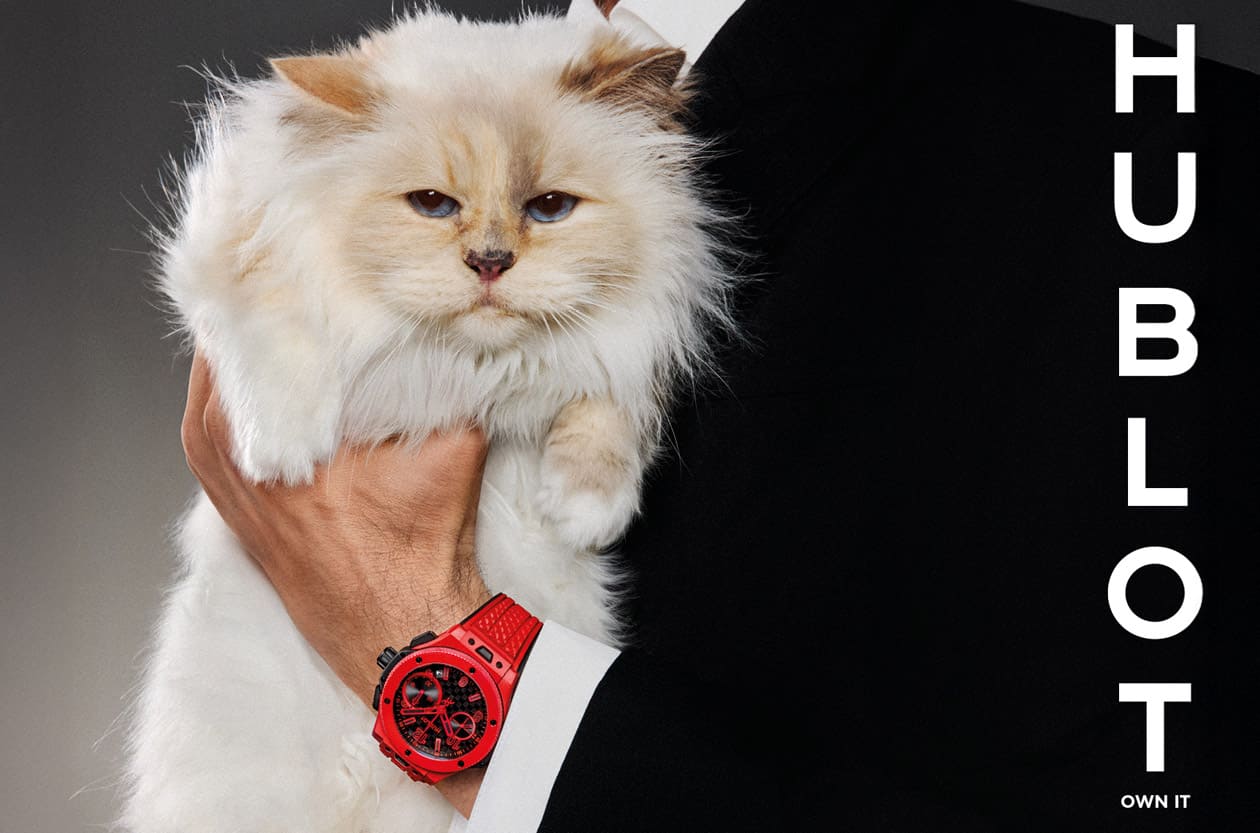 Big Bang 20周年宣告风格主权 宇舶新宣言“Own It”由名猫Choupette代言